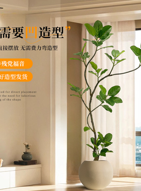 仿真绿植高端轻奢孟加拉榕客厅仿生室内植物盆栽摆件落地装饰假树