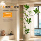 Simulated green plants, high-end light luxury, Bengal banyan living room, bionic indoor plants, potted ornaments, floor-standing decorative fake trees
