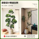 Simulated green plants, high-end light luxury duck foot wood indoor potted plants, large bionic plants, fake trees, living room decorations