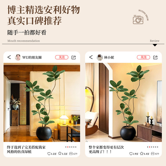 Simulated fake green plants decorating the black diamond rubber tree room
