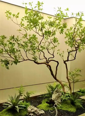 仿真马醉木橱窗造景植物室内高端办公室仿生绿植装饰大型假树景观