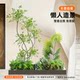 Simulated green plant nandina bamboo landscaping combination window decoration balcony fake plant landscape entrance hall indoor atmosphere fake tree