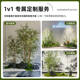 New Chinese style simulated bamboo indoor living room entrance partition courtyard landscape landscaping floor fake green plant decoration