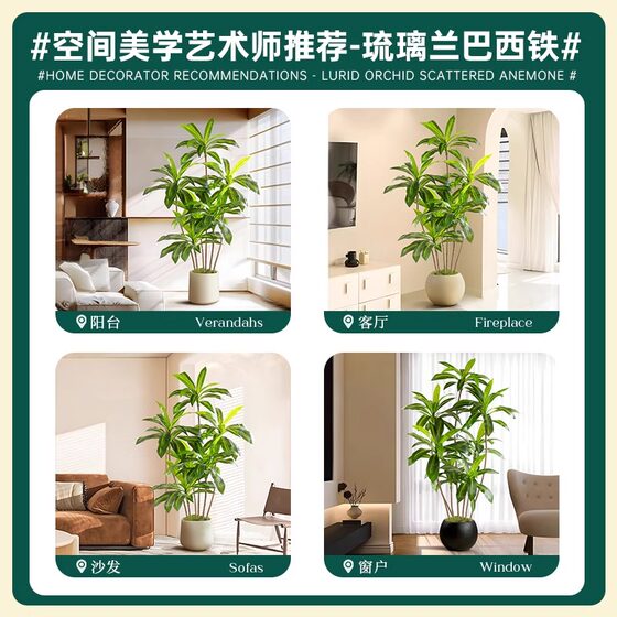 Elegant large green indoor plant pots