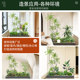 Simulated green plant nandina bamboo landscaping combination window decoration balcony fake plant landscape entrance hall indoor atmosphere fake tree