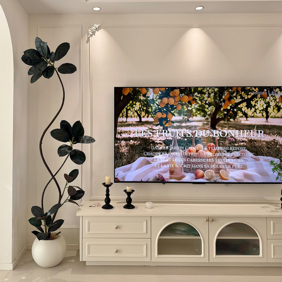 Simulated green plant black diamond rubber tree living room interior