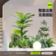 Simulated green plant landscaping combination indoor entrance