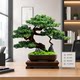 New Chinese style simulation welcoming pine green plant bonsai living room
