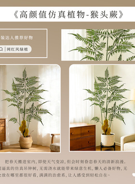 仿真绿植高级感逼真客厅办公室休闲区布置服装店橱窗造景装饰摆件