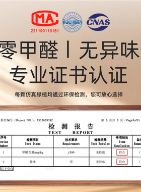 仿真红枫树鸡爪槭枯山水盆景假树