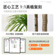 Simulated green plant Dracaena, high-end light luxury interior decoration, large floor-standing ornaments, fake trees, fake flowers, large potted plants