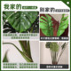Simulated monstera high-end light luxury fake tree