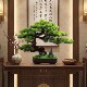 New Chinese style simulation welcoming pine green plant bonsai living room