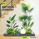 Simulated green plant landscaping combination indoor entrance