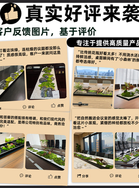 会议桌摆花长桌微景观造景仿真绿植青苔桌面中间装饰植物摆件装饰