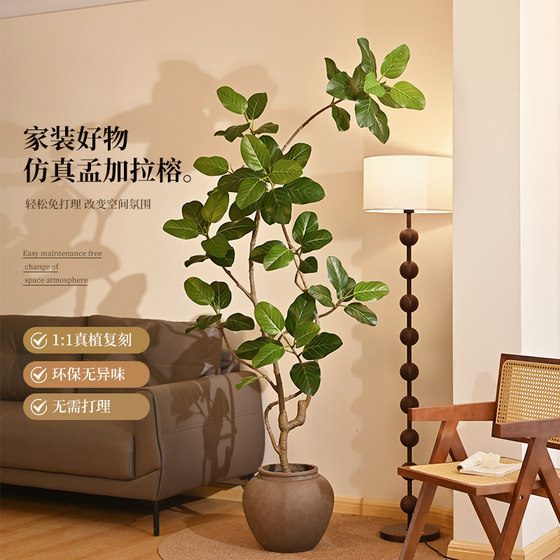 Simulated Internet celebrity Bengal banyan potted large green plant
