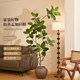 Simulated Internet celebrity Bengal banyan potted large green plant