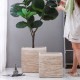Light luxury and high-end square magnesium clay flowerpot