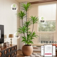 Fake green plant decoration, simulated banana indoor potted plants, large floor-standing ornaments, light luxury bionic plant landscaping for living room