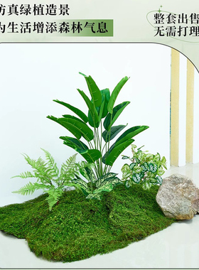 仿真花植物苔藓造景装饰