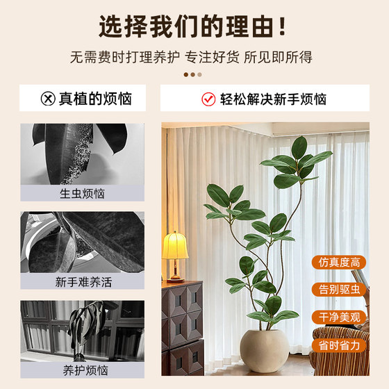 Simulated fake green plants decorating the black diamond rubber tree room