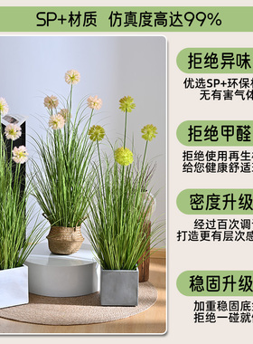 仿真植物蒲公英落地盆栽仿生绿植摆件客厅沙发边家居直播间装饰