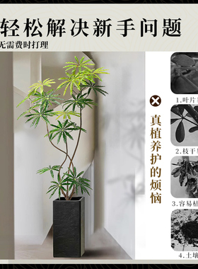 仿真绿植盆栽孔雀木落地装饰摆件