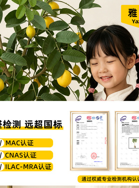 仿真柠檬树假树仿生植物装饰客厅高级感绿植室内玄关角落地摆件