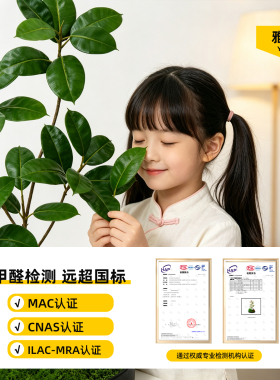 客厅角落玄关小型仿真绿植造景阳台楼梯下窗边仿生植物室内景观树
