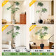 Peacock wood simulated green plants, high-end living room, bionic fake plants, large floor-standing indoor potted plants decorative ornaments