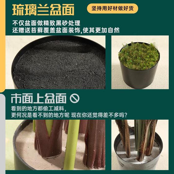 Elegant large green indoor plant pots