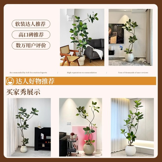 Simulated Internet celebrity Bengal banyan potted large green plant
