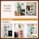 Simulated Internet celebrity Bengal banyan potted large green plant
