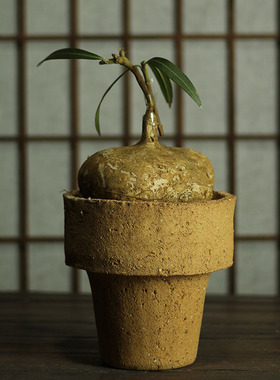 景德镇块根花盆匣钵泥
