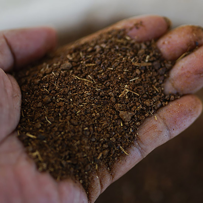 茶枯茶粕茶子籽饼粉麸茶皂素虾蟹养殖清塘杀杂鱼福寿螺虫有机肥料 - 图2