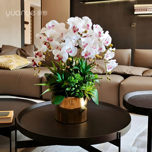 Light luxury orchid living room floor-standing large potted plant TV cabinet