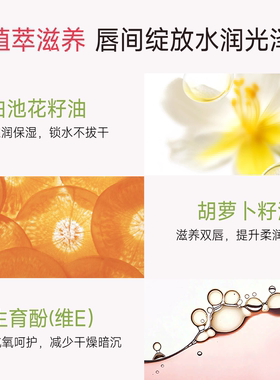 植物主义柔雾口红滋润不易沾杯