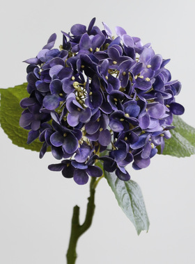 3D手感仿真绣球花单枝紫色婚庆花艺家居装饰假花场景布置法国绣球