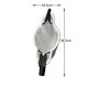 Manufacturer Blade-shaped high-altitude fruit picker Fruit picker Telescopic rod high-altitude fruit picker Garden tool