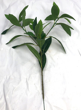 仿真植物假树叶紫荆木叶桂花叶DIY拍摄背景白桦叶树工程装饰