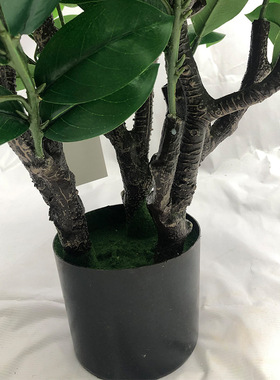仿真植物盆栽茶树绿植油茶树室内家居装饰摆件拍摄茶叶厂家