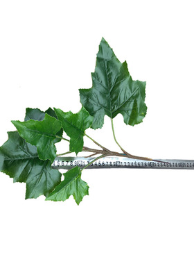 仿真植物梧桐叶5头绿植梧桐树摄影背景叶子屏风工程装饰厂家