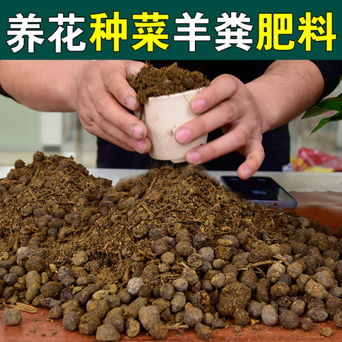 纯羊粪蛋颗粒蔬菜绿植花卉通用肥农家羊粪发酵有机肥花肥养花专用 - 图2