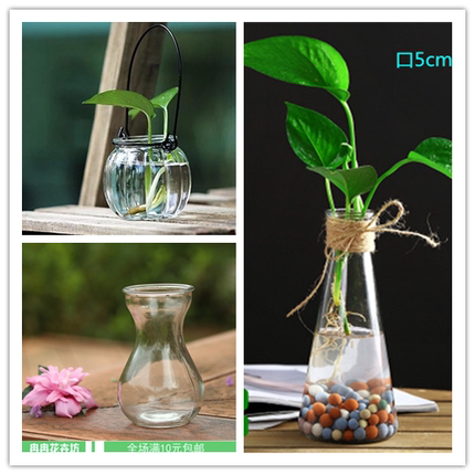 创意小清新水培玻璃花瓶绿萝水培花盆透明水养植物器皿多肉风信子