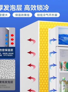 穗凌冰柜冷藏立式啤酒饮料展示柜