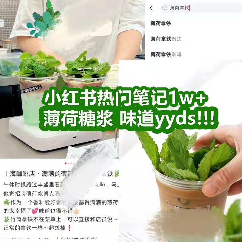 送压头/Mojito莫吉托红石榴薄荷风味糖浆蓝柑咖啡鸡尾酒商用小瓶 - 图1