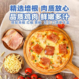 俏侬披萨半成品加热即食6盒装