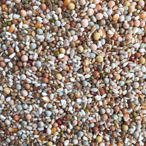 Beijing Tianyou ten thousand Pigeon Food (Young Pigeon Special Class) 50 Taggers of Jiang Zhejiang and Zhejiang