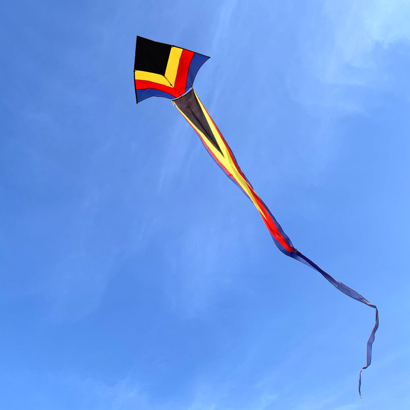 新款成人大型冲天追风筝抗大风三角风筝带宽尾初学者易飞高档