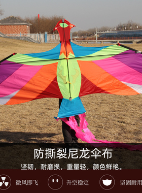 精品七彩凤凰碳杆伞布风筝成人高档大型长尾飘逸好飞